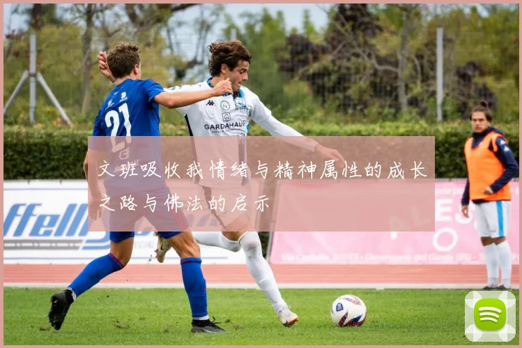 文班吸收我情绪与精神属性的成长之路与佛法的启示